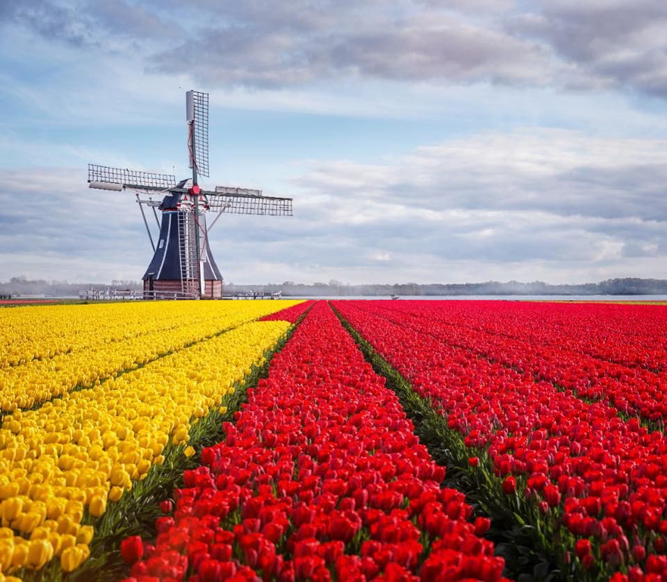 Why Sap Successfactors