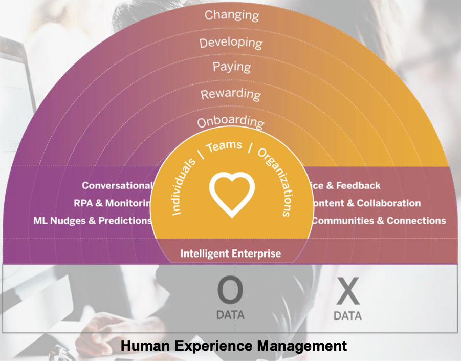 human experience management Lorenzo Data Solutions